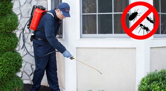 Yenifakılı Kene İlaçlama böcek ilaçlama ve haşere kontrolü — ilaclama-tr.com